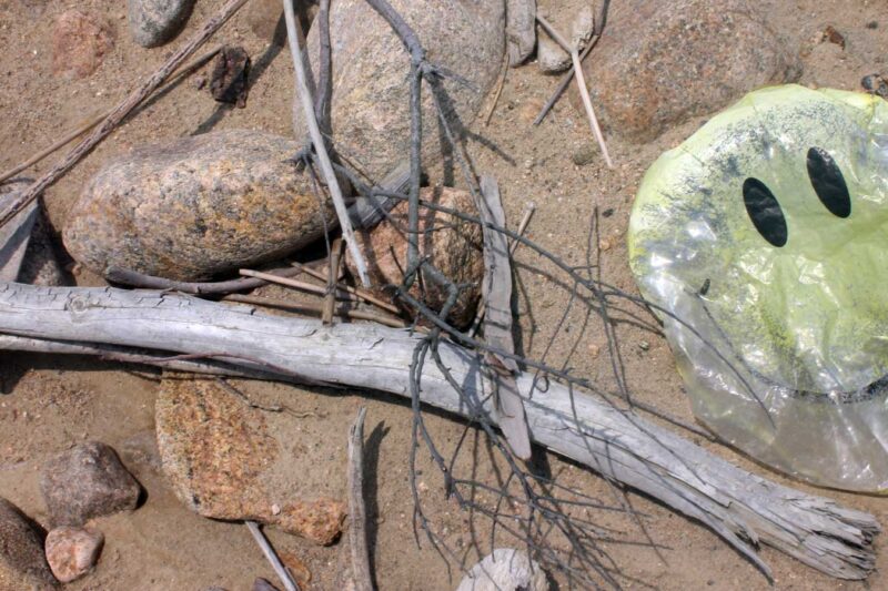 The strangest thing I ever found on a beach