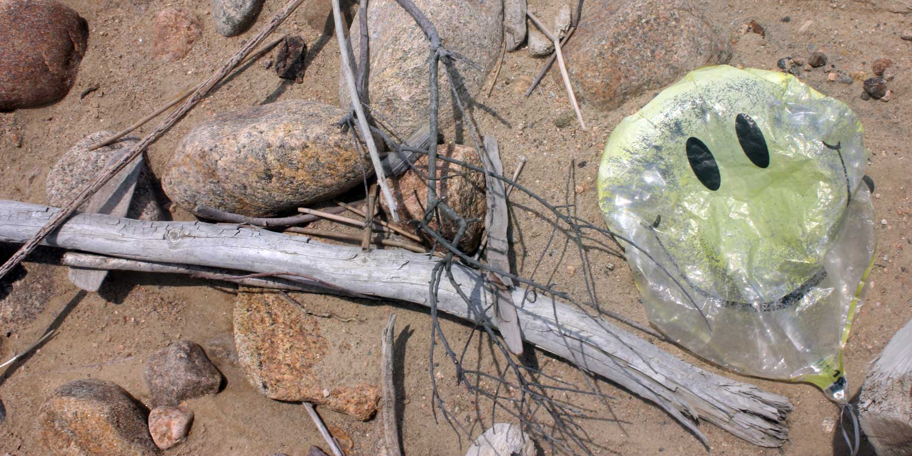 Deflated smiley-face balloon beside driftwood on a remote beach on Block Island
