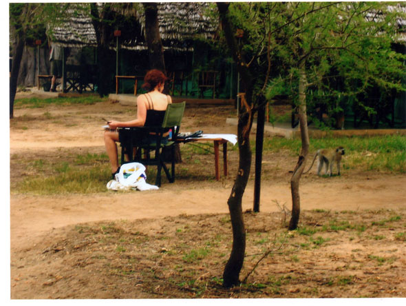 Painting en plein air, Tarangire Park, Tanzania, Summer 2007 (with monkey)