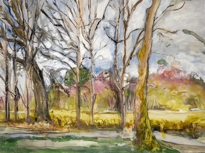Dumfries woods, oil on gessoed board, 30cm x 40cm, 2016