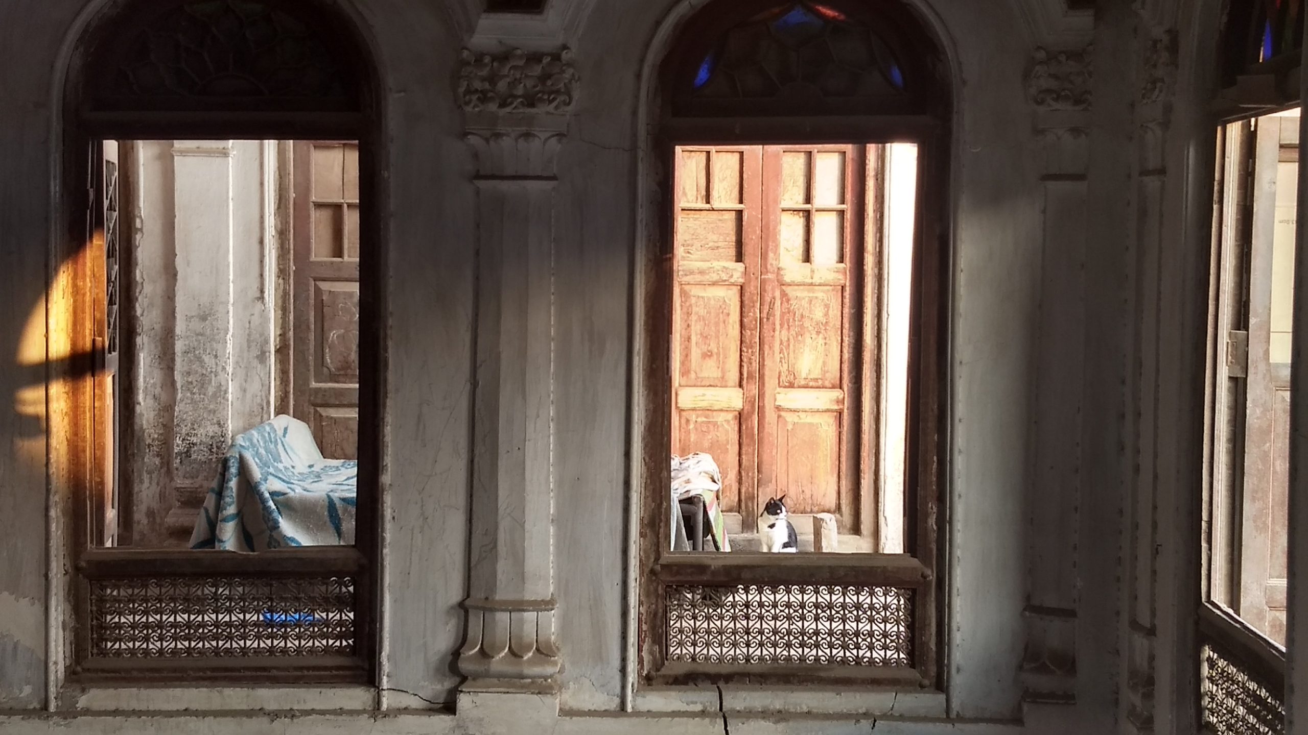 Cat, Jain Swamber Temple, Multan