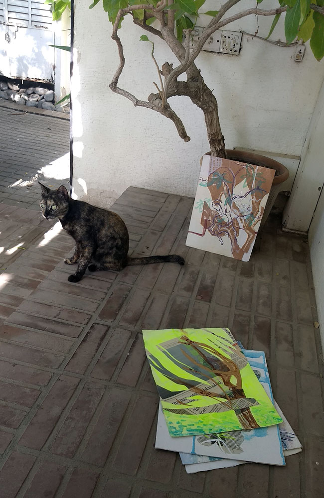Making collages, Karachi, Pakistan, January 2022 (with cat)
