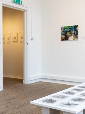 Original art exhibition, gallery view