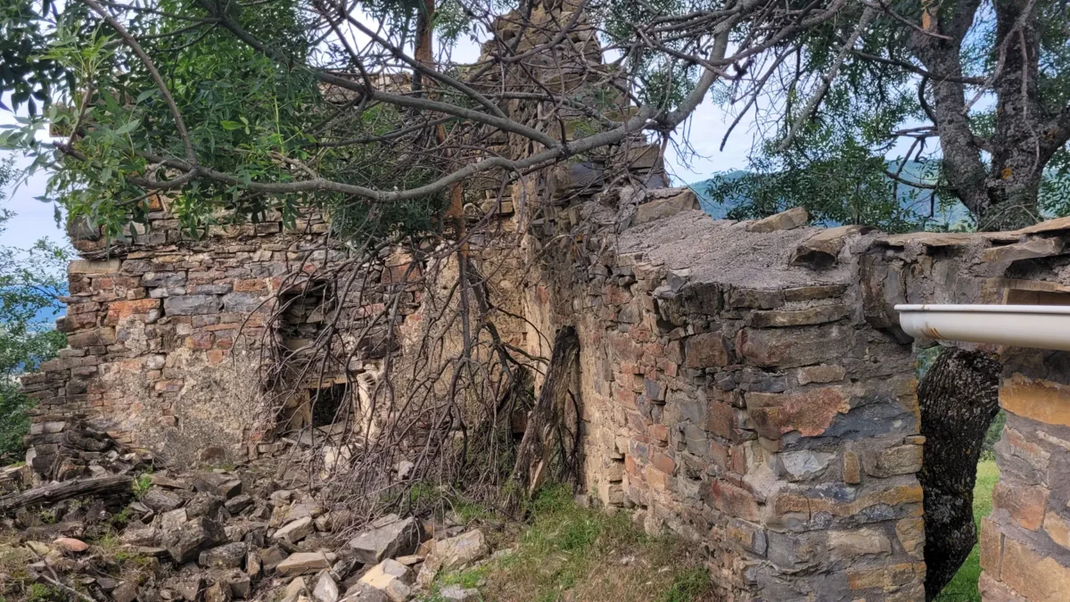 Ruined buildings and overgrown trees in the abandoned village of Bergosa