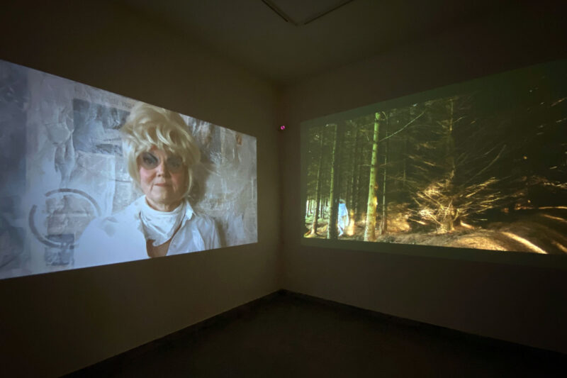Installation view of Old dear in the headlamps at Ecologies of Displacement, Koel Gallery, Karachi