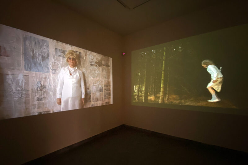 Projection detail from Old dear in the headlamps at Koel Gallery, Karachi