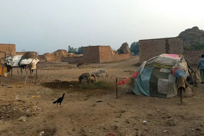 Nomad tents and donkey near the archaeological site at Tulamba