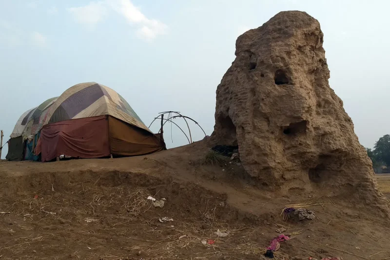 Nomad tents beside the archaeological site at Tulamba